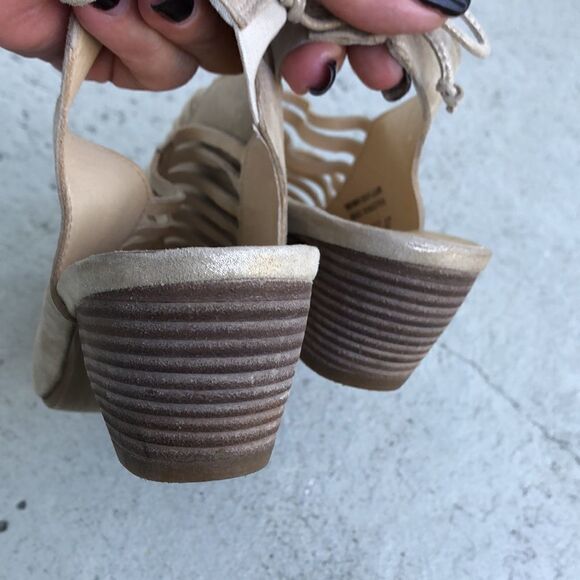 Paul Green  - Picture 6 of 8